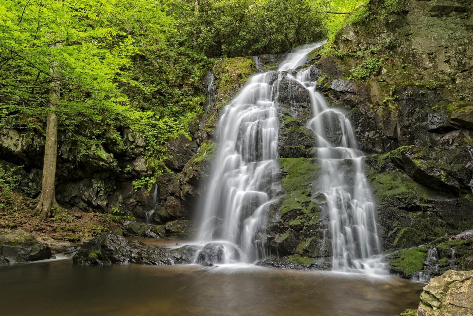Maple Trails, Wifi, 1089 Free Tickets Each Paid Day, Dollywood And More Gatlinburg Bagian luar foto