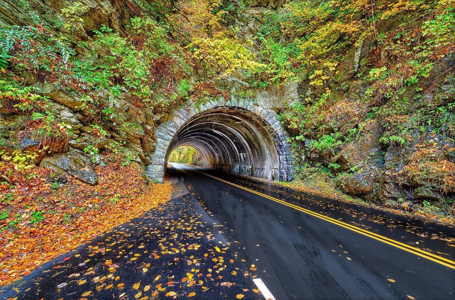Maple Trails, Wifi, 1089 Free Tickets Each Paid Day, Dollywood And More Gatlinburg Bagian luar foto