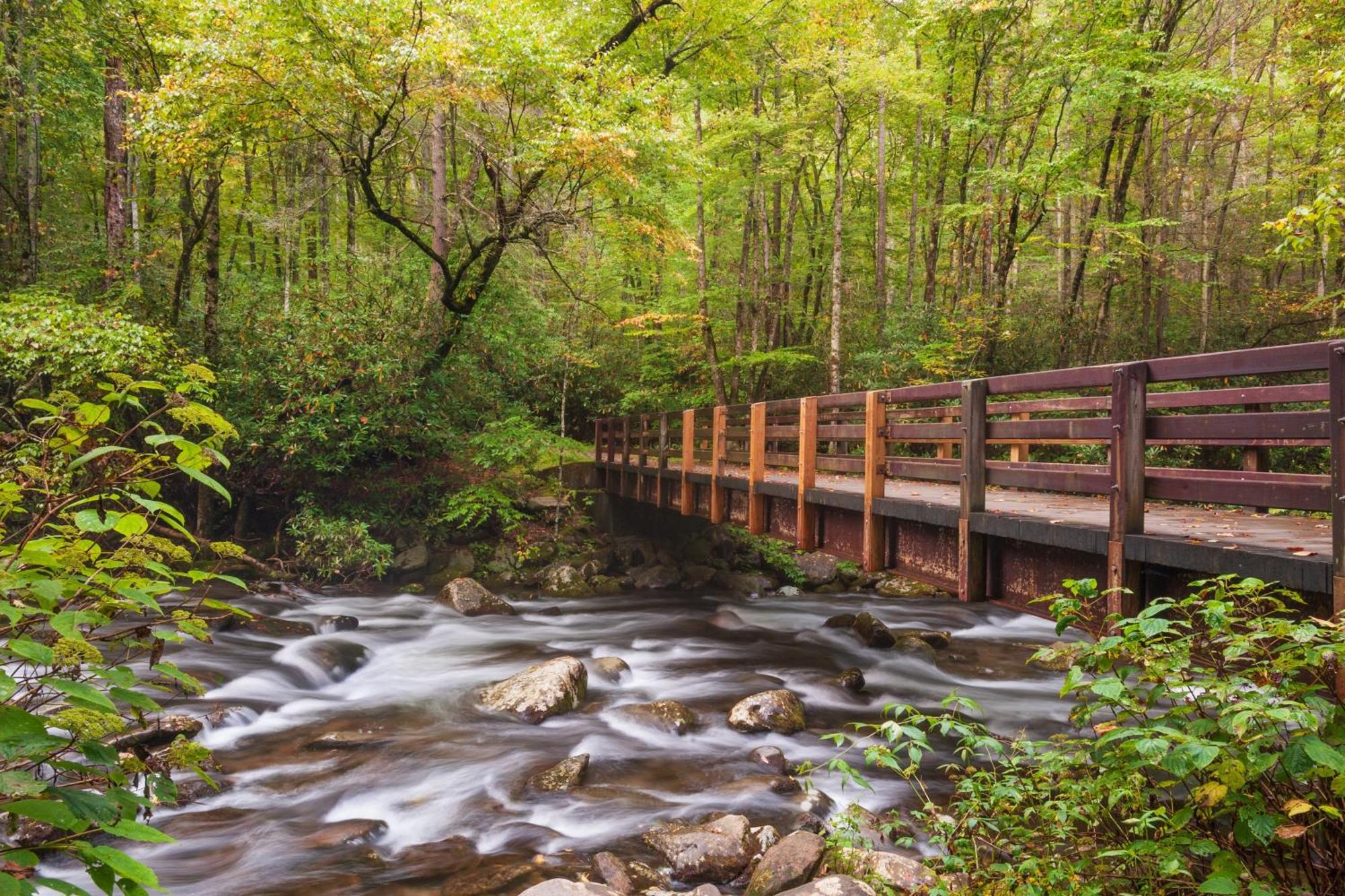 Maple Trails, Wifi, 1089 Free Tickets Each Paid Day, Dollywood And More Gatlinburg Bagian luar foto
